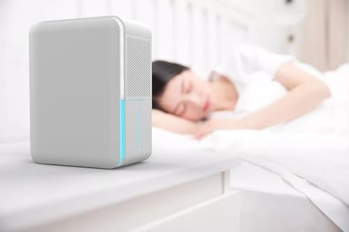 Air Purifier Vs Humidifier Vs Dehumidifier: Which One Is Best