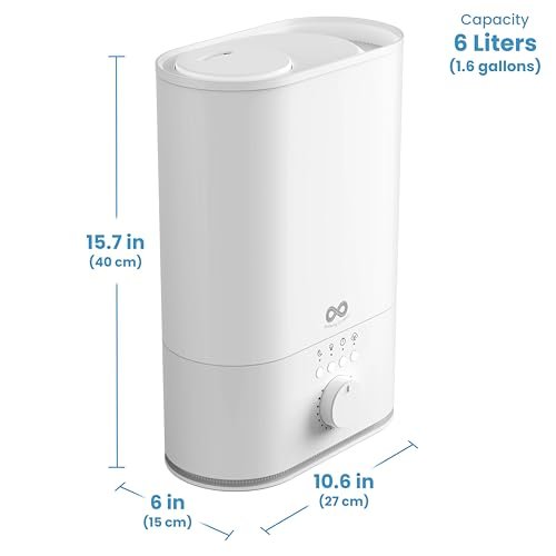 What Is The Best Humidifier For Congestion