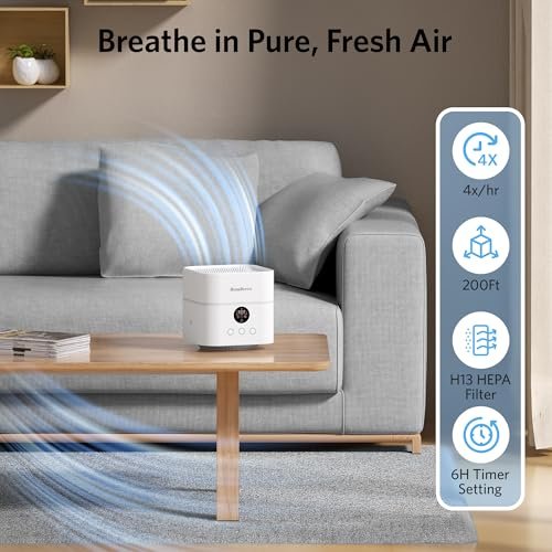 Humidifier Vs Air Purifier: Which One Do You Need?