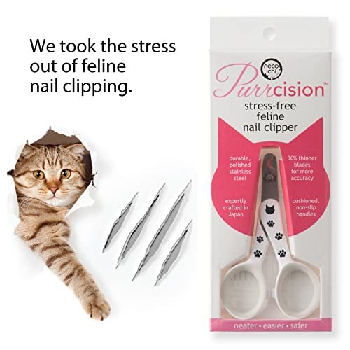 Best Nail Clippers For Cats: Vet-Approved Top Picks