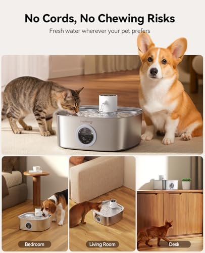 Battery Operated Dog Water Fountain: Top Picks 2026