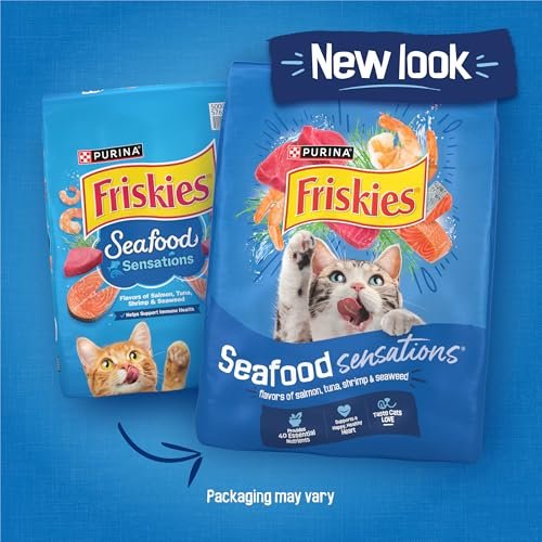 Best Dry Food For Outdoor Cats: Top Picks