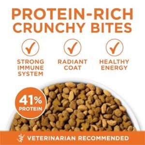 Best Dry Food For Diabetic Cats