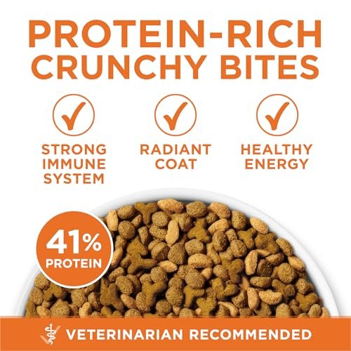 Best Dry Food For Diabetic Cats: Top Picks