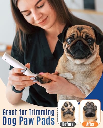 Best Paw Trimmer For Dogs: Vet-Tested Picks