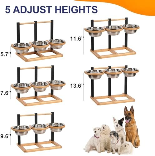 Best Three Bowl Dog Feeder: Top Picks And Guide