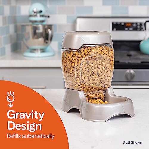 Are Gravity Feeders Good For Cats: Pros, Cons, And Tips