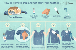 How To Get Rid Of Cat Hair In The Air