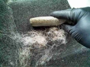 How To Remove Pet Hair From Car