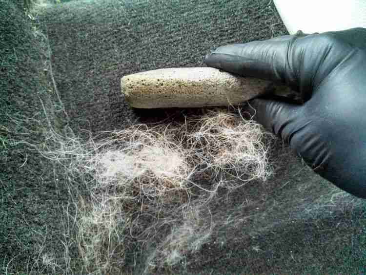 How To Remove Pet Hair From Car: Practical Pro Tips